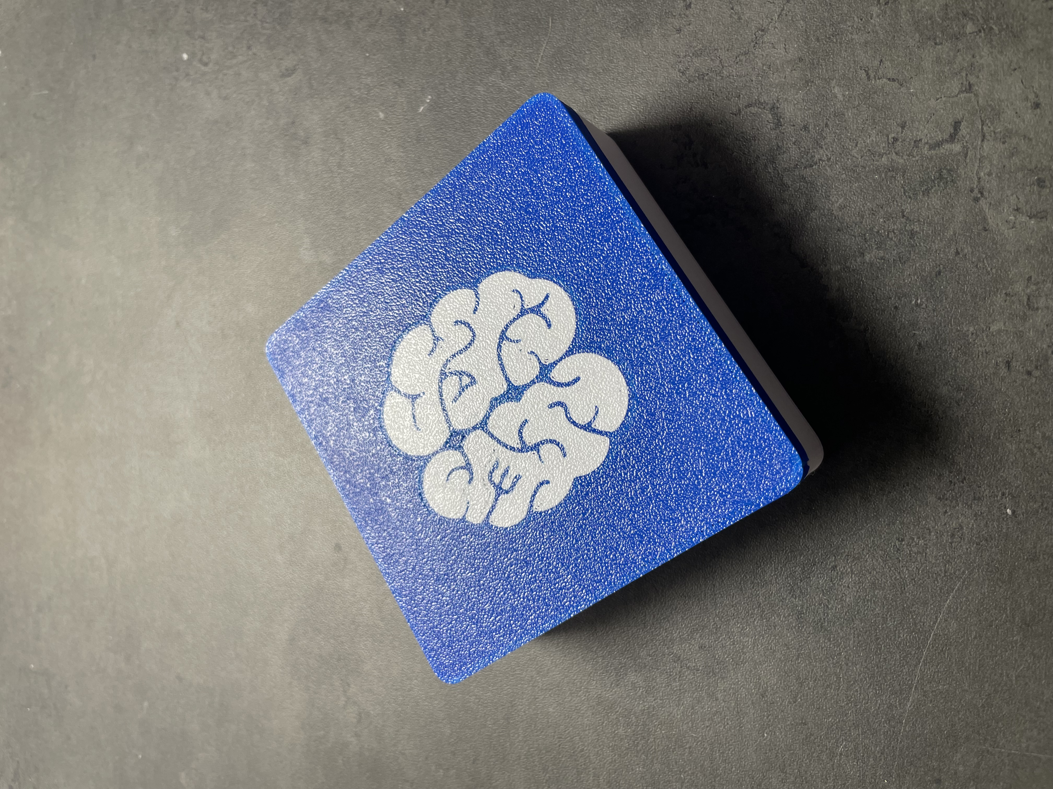 Projet jeu recherche en neurosciences